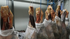 Κύκλωμα θα έστελνε <br> 7 τόνους βρώμικα <br> κρέατα σε νοσοκομεία!