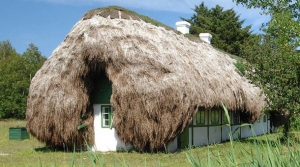 Το μοναδικό σπίτι  στον πλανήτη με  στέγη από φύκια (εικόνες)