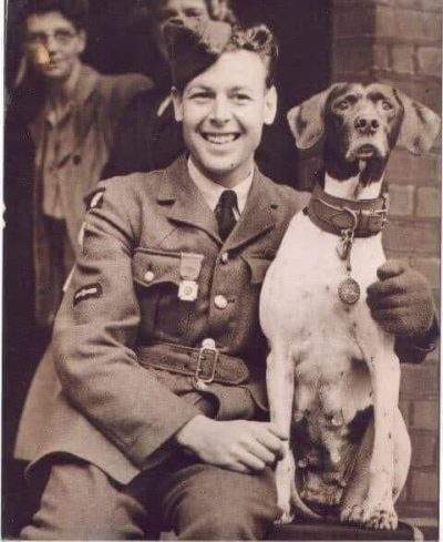 Τζούντυ Η παρασημοφορεμένη <br> ηρωική σκυλίτσα του Β&#039; <br> Παγκοσμίου πολέμου (εικόνα)