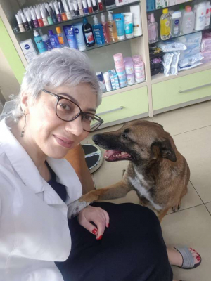 Τραυματισμένο σκυλάκι <br> μπήκε σε φαρμακείο <br> για βοήθεια! (εικόνες)
