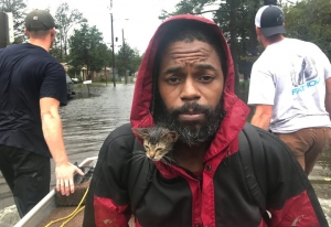 Έγραψε ιστορία! <br> Διέσωσε ένα γατάκι <br> στον τυφώνα (εικόνα)