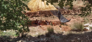Πικέρμι Ξανάρχισαν οι <br> ανασκαφές στον <br> παλαιοντολογικό χώρο