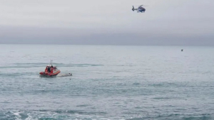 5 νεκροί σε πρόσκρουση <br> πλοιαρίου με... <br> φάλαινα στη Νέα Ζηλανδία
