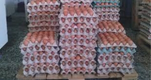 Δεσμεύτηκαν 33.000 <br> αυγά σε ελέγχους <br> εν όψει Πάσχα