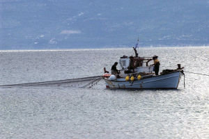 Προσωρινά μέτρα  για την αλιεία  στο Σχινιά