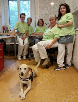 Αδέσποτο από την <br> Ελλάδα σκύλος θεραπείας <br> στην Ελβετία (εικόνα)