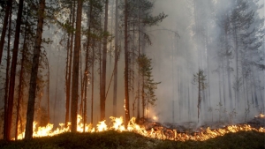 Στις φλόγες η <br> Σουηδία, &#039;&#039;καύσωνας&#039;&#039; <br> στη Φινλανδία
