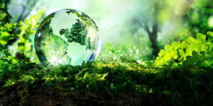 ''Πράσινη'' νίκη της Γης!  Μειώνονται τα  ορυκτά καύσιμα